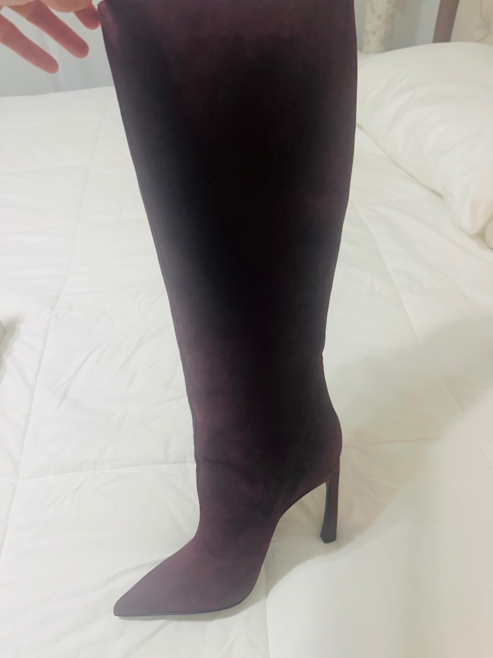 Schutz knee high Cherry Wine Cate Curve suede boots